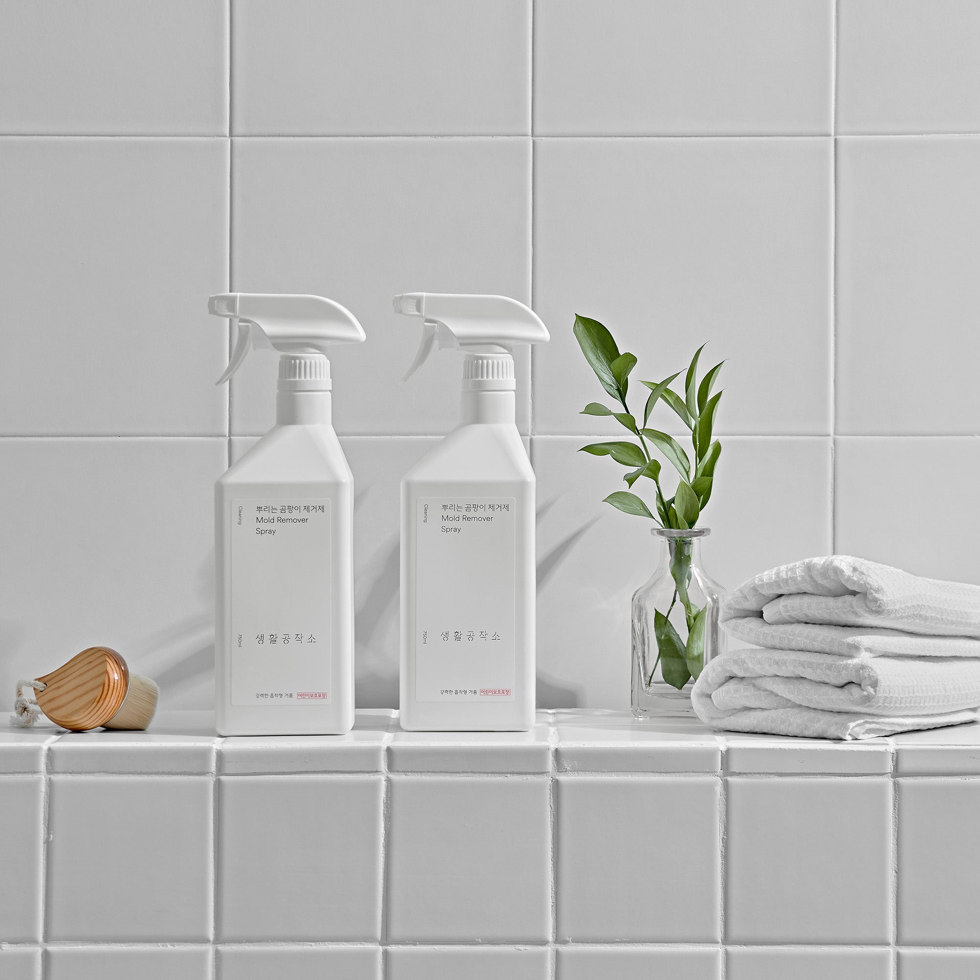 Mold Remover / Spray / 750ml