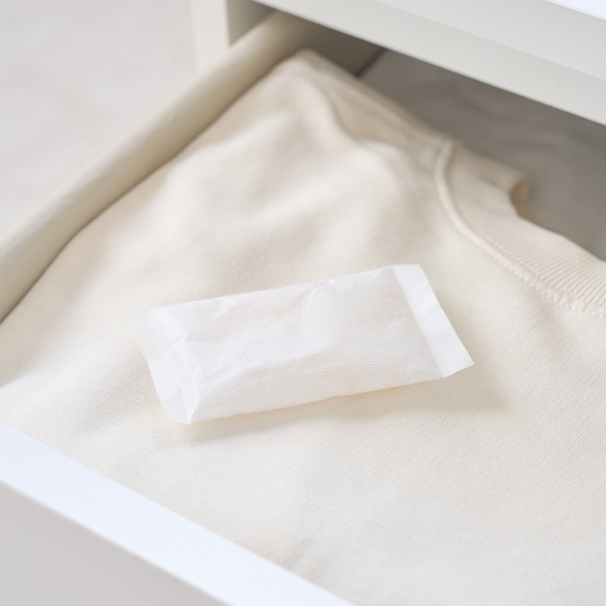 Moisture Absorber / Silica Gel / 20g x 20ea