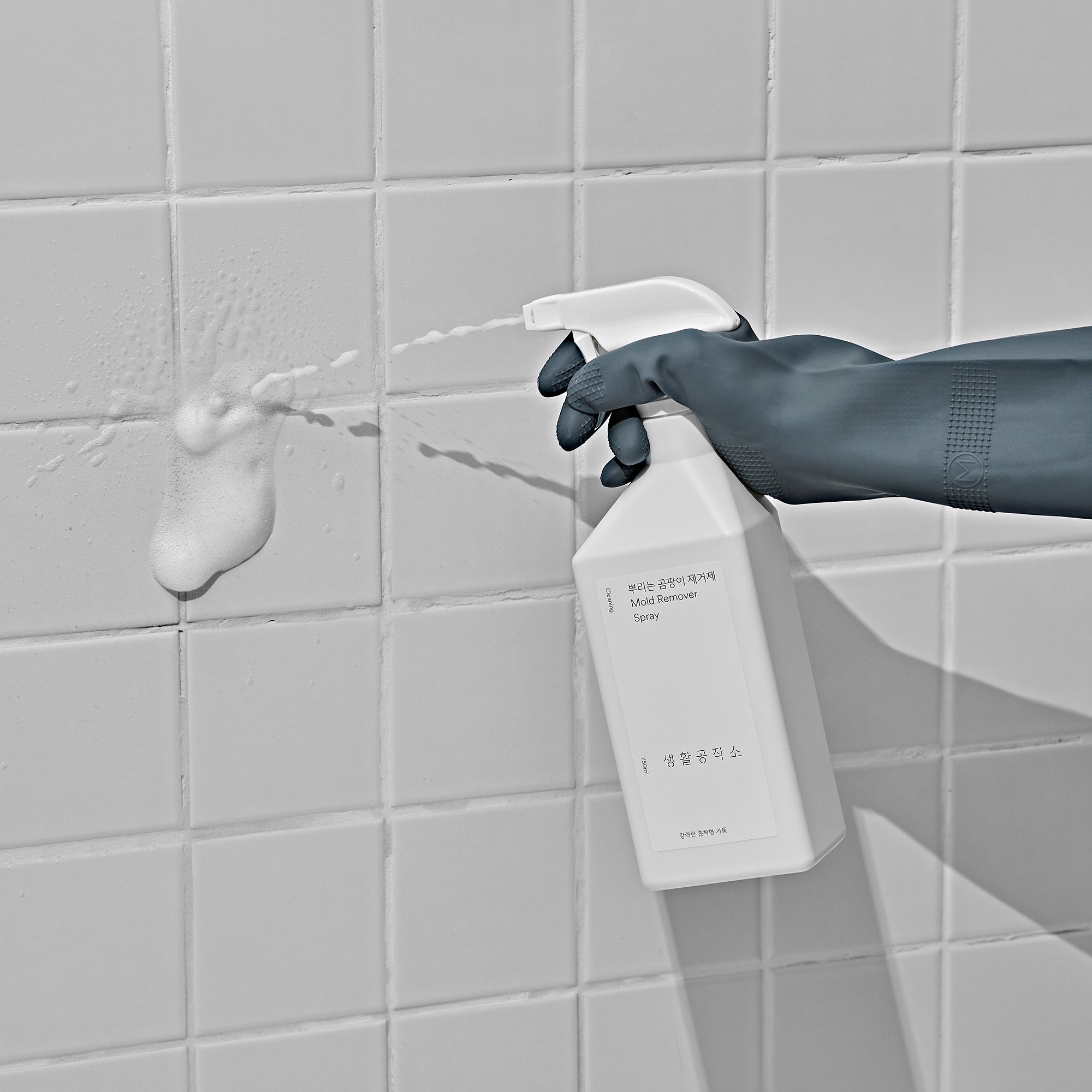Mold Remover / Spray / 750ml