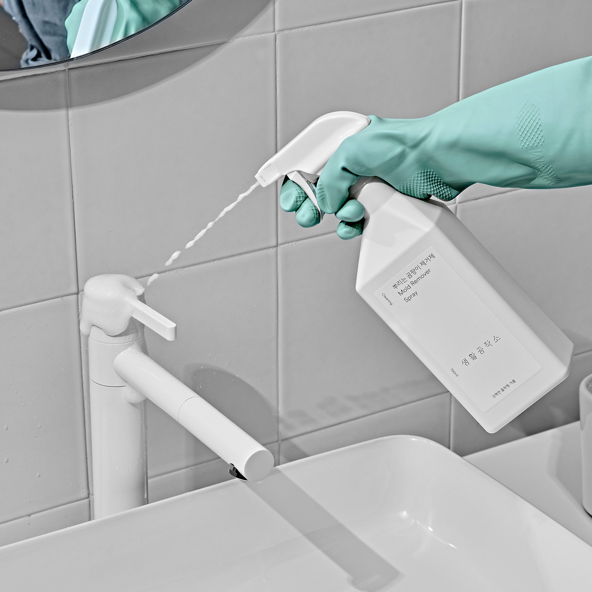 Mold Remover / Spray / 750ml